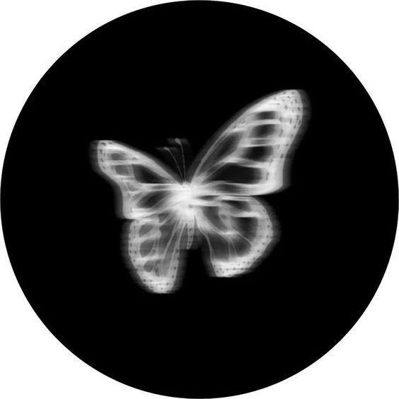 Borboleta Branca como Foto de Perfil Estilosa