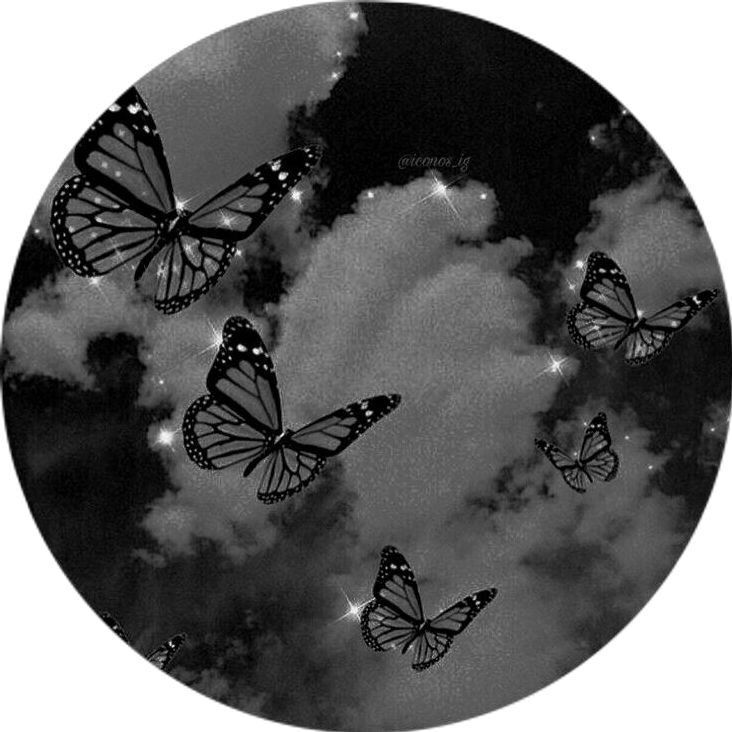 Borboletas em Céu Nublado: Inspiração para Fotos de Perfil