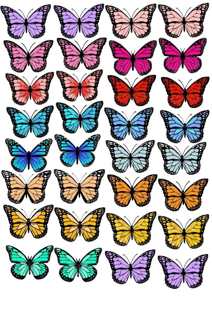 Borboletas para imprimir em diversas cores e tamanhos