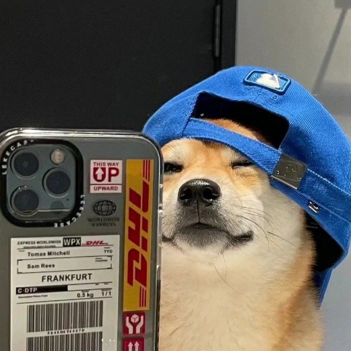 Cachorro Shiba Inu como Foto para Perfil