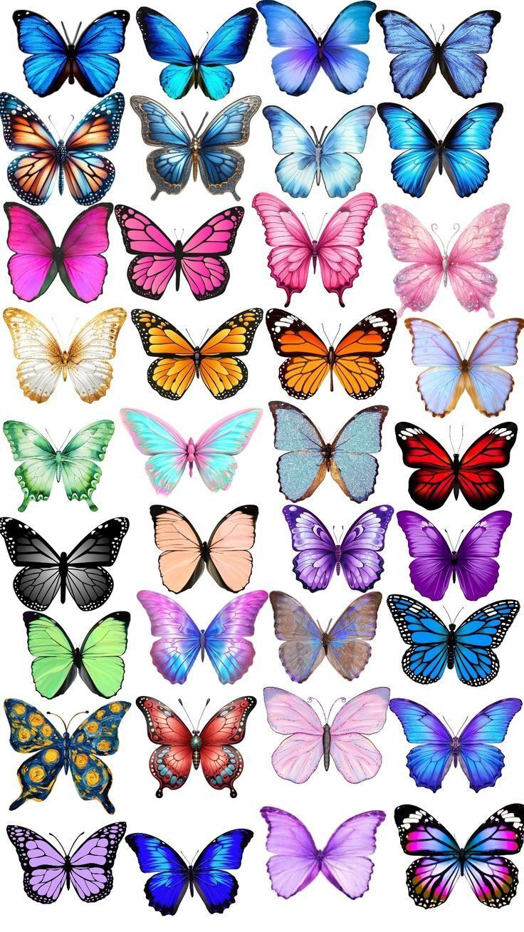 Coleção de Borboletas Coloridas para Imprimir e Recortar