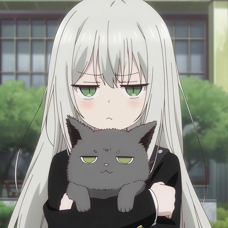 Foto de Anime para Perfil com Gato e Expressão Séria
