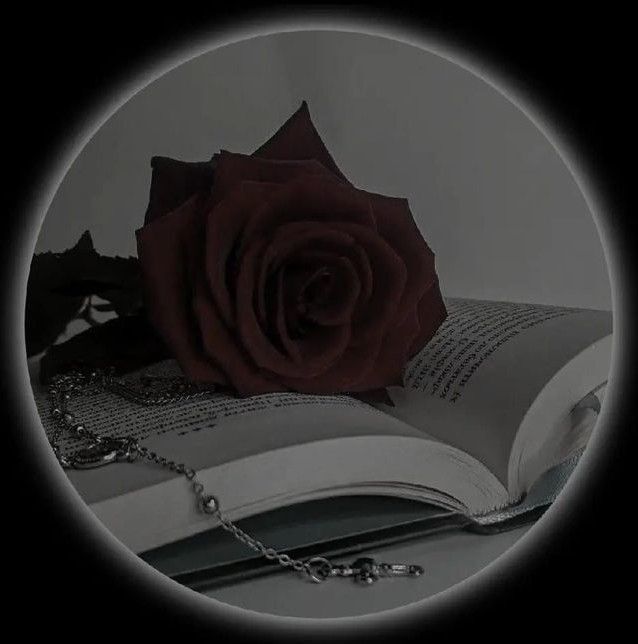 Foto para Perfil do Whatsapp com Rosa e Livro