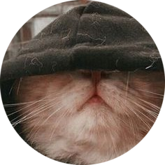 Gato em Capuz: Imagem Criativa para Perfil