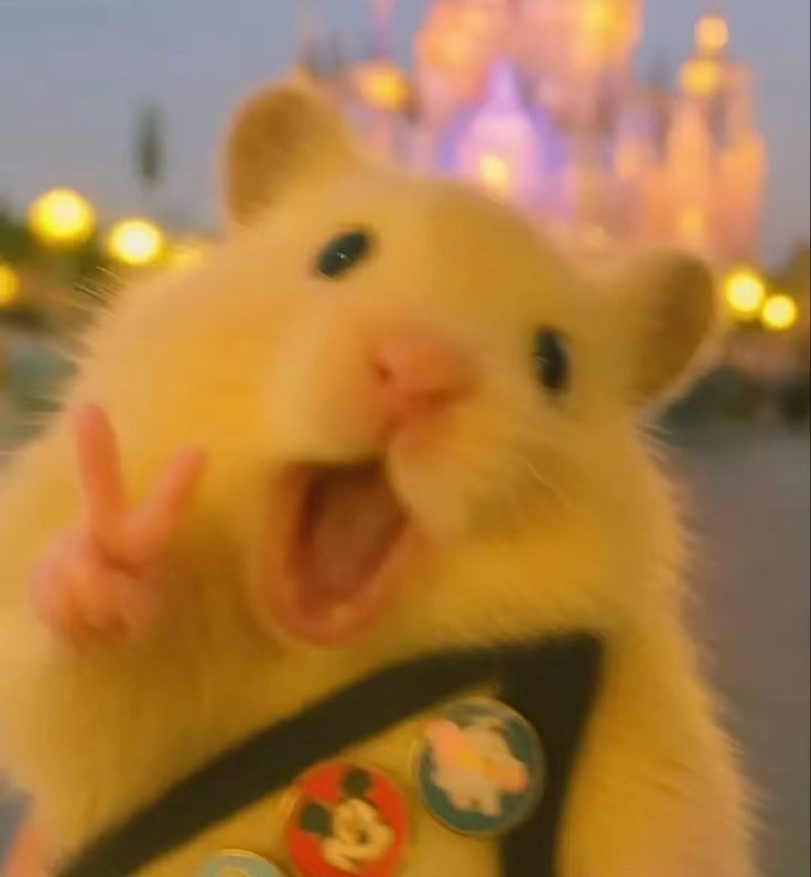 Hamster Engraçado Fazendo Sinal de Paz