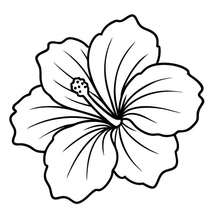 Hibisco para imprimir e colorir: arte e relaxamento