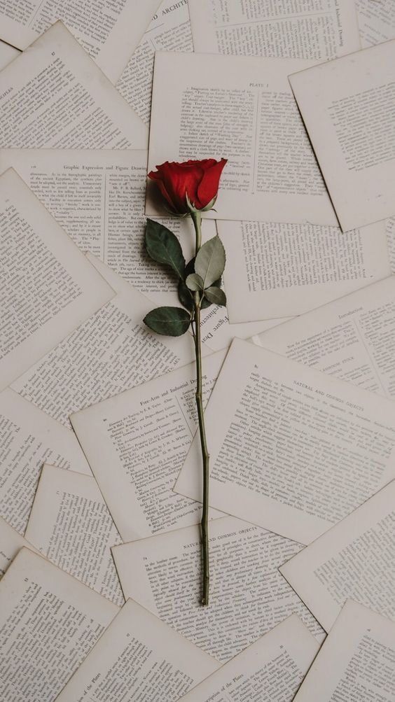 Papel de Parede Elegante Rosa Vermelha