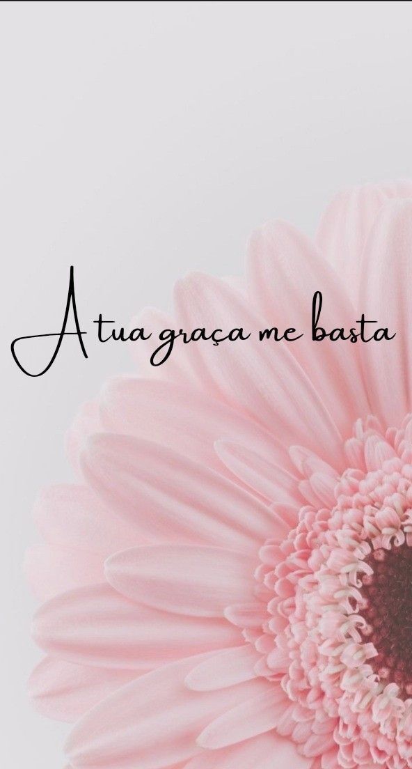 Papel de Parede para Celular Bonito com Flor Rosa