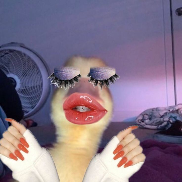 Pato Engraçado para Perfil no Whatsapp e Instagram