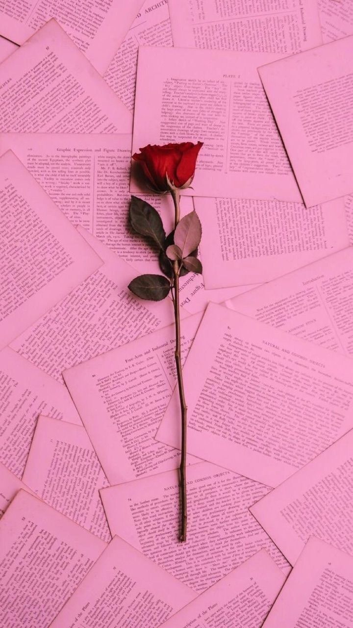 Rosa Vermelha: Papel de Parede Para Celular