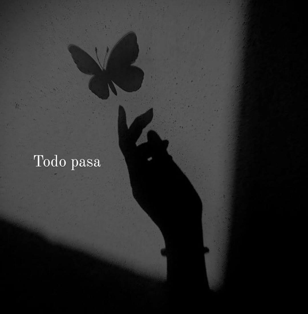 Sombra de Mão e Borboleta: Foto Triste para Perfil