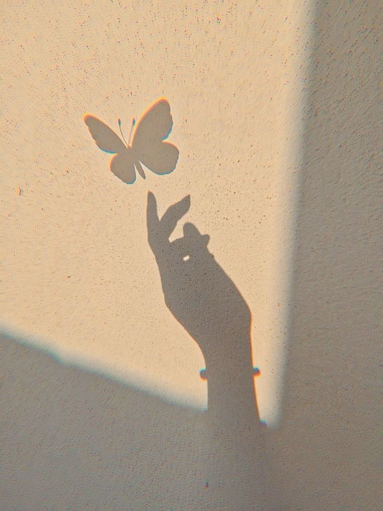 Sombra de Mão e Borboleta para Perfil Fofa
