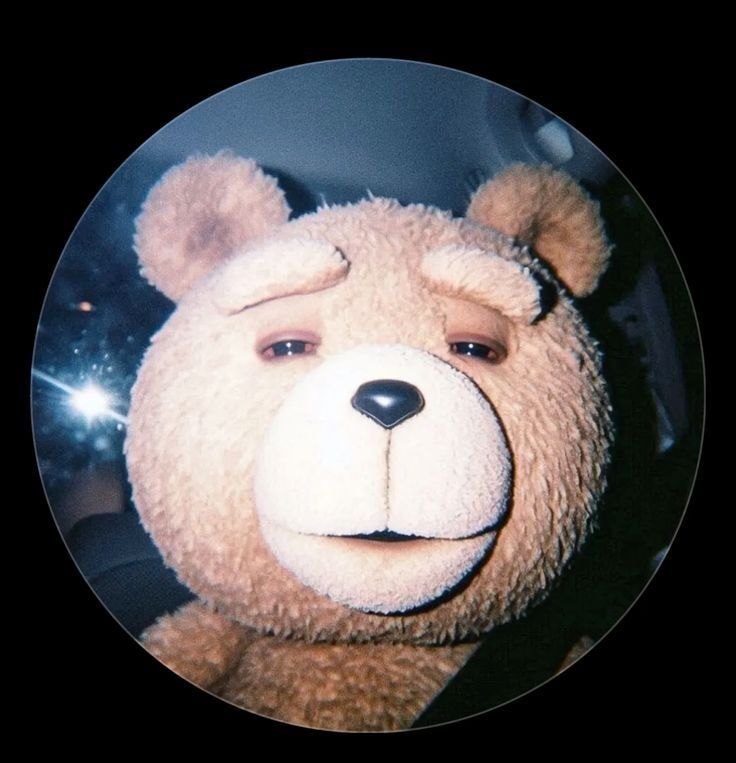 Urso de Pelúcia: Foto para Perfil do Whatsapp