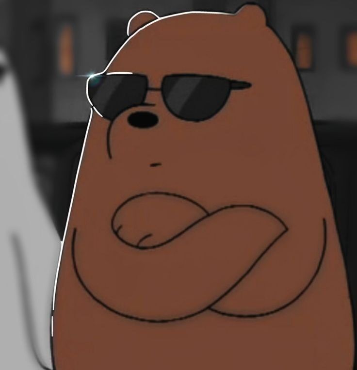 Urso Engraçado com Óculos para Foto de Perfil